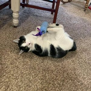 Meet your Posher, Anna